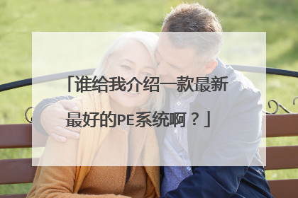 谁给我介绍一款最新最好的PE系统啊？