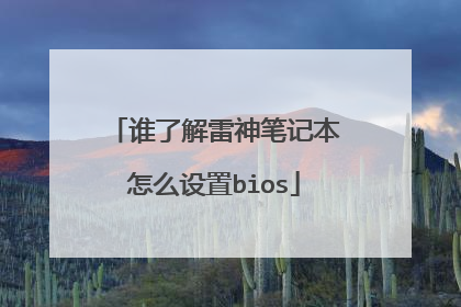 谁了解雷神笔记本怎么设置bios