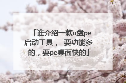 谁介绍一款u盘pe启动工具, 要功能多的,要pe桌面快的