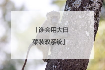 谁会用大白菜装双系统
