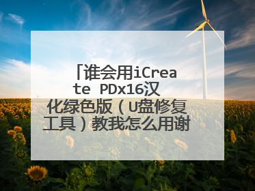 谁会用iCreate PDx16汉化绿色版(U盘修复工具)教我怎么用谢谢了!!