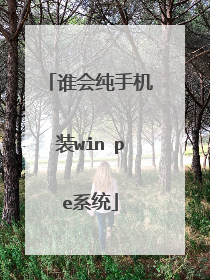 谁会纯手机装win pe系统