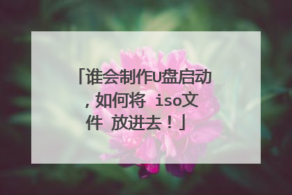 谁会制作U盘启动,如何将 iso文件 放进去!
