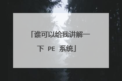 谁可以给我讲解一下 PE 系统