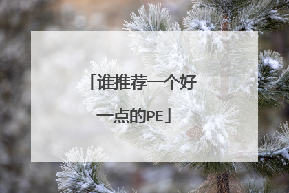谁推荐一个好一点的PE