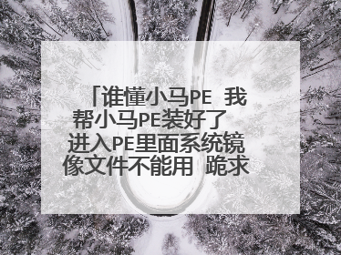 谁懂小马PE 我帮小马PE装好了 进入PE里面系统镜像文件不能用 跪求高手 留QQ或电话号码 教会最少20块钱Q币