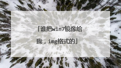 谁把win7镜像给我,img格式的
