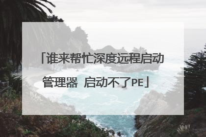 谁来帮忙深度远程启动管理器 启动不了PE