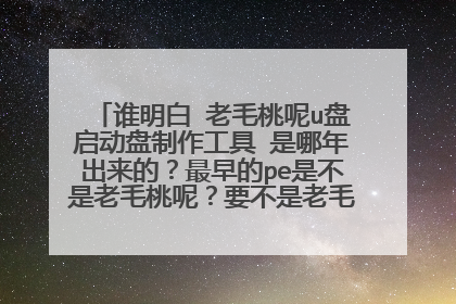 谁明白 老毛桃呢u盘启动盘制作工具 是哪年出来的？最早的pe是不是老毛桃呢？要不是老毛桃，那么是什么？