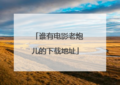 谁有电影老炮儿的下载地址