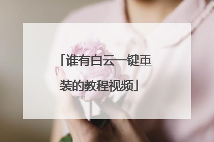 谁有白云一键重装的教程视频