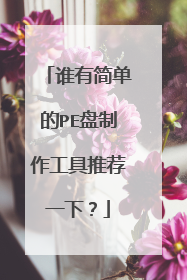 谁有简单的PE盘制作工具推荐一下？