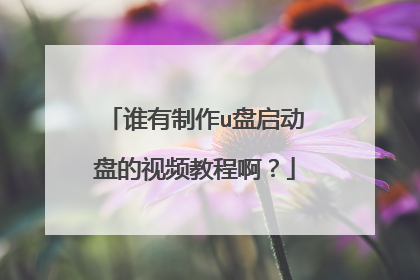 谁有制作u盘启动盘的视频教程啊?