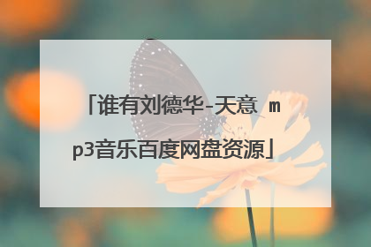 谁有刘德华-天意 mp3音乐百度网盘资源