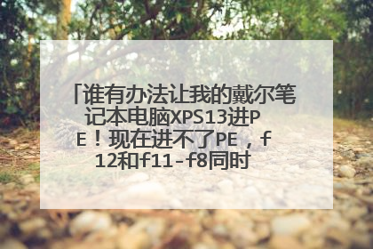 谁有办法让我的戴尔笔记本电脑XPS13进PE!现在进不了PE,f12和f11-f8同时按都没用,就
