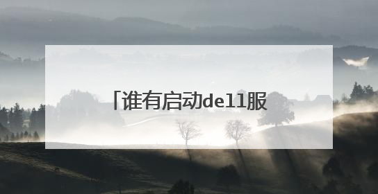 谁有启动dell服务器的pe ISO