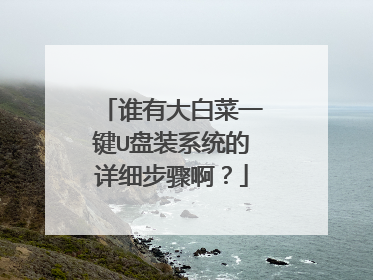 谁有大白菜一键U盘装系统的详细步骤啊?
