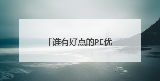 谁有好点的PE优盘版或硬盘版？