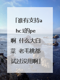 谁有支持ahci的pe啊 什么大白菜 老毛桃都试过没用啊