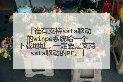 谁有支持sata驱动的winpe系统给一个下载地址，一定要是支持sata驱动的PE。