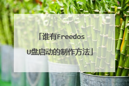 谁有Freedos U盘启动的制作方法