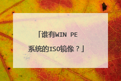 谁有WIN PE 系统的ISO镜像?