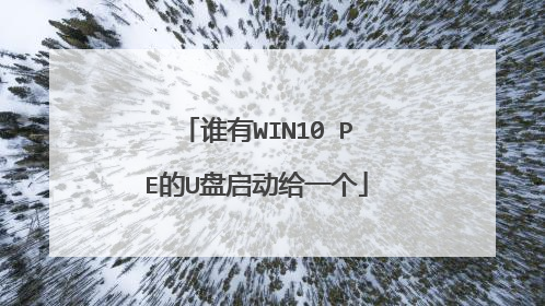 谁有WIN10 PE的U盘启动给一个