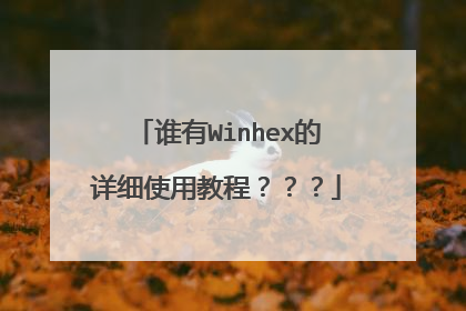 谁有Winhex的详细使用教程???