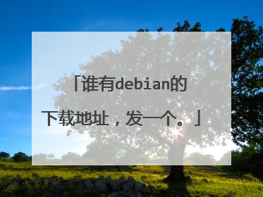 谁有debian的下载地址,发一个。