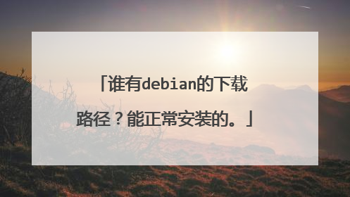 谁有debian的下载路径?能正常安装的。