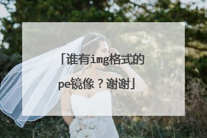 谁有img格式的pe镜像？谢谢