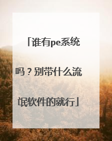 谁有pe系统吗?别带什么流氓软件的就行