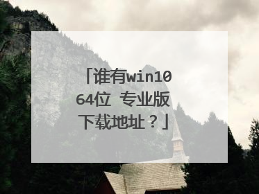 谁有win10 64位 专业版 下载地址?