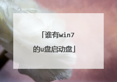 谁有win7的u盘启动盘