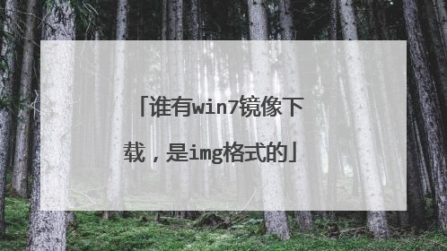 谁有win7镜像下载，是img格式的