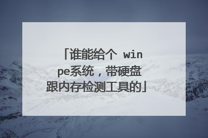 谁能给个 win pe系统，带硬盘跟内存检测工具的