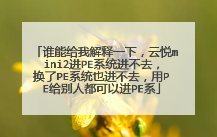 谁能给我解释一下,云悦mini2进PE系统进不去,换了PE系统也进不去,用PE给别人都可以进PE系