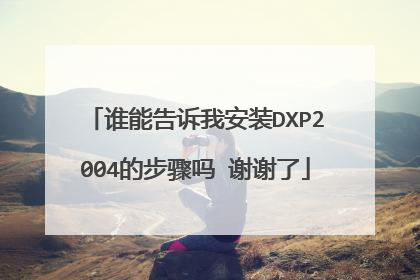 谁能告诉我安装DXP2004的步骤吗 谢谢了