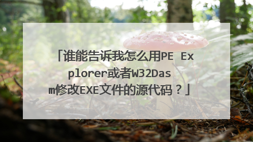 谁能告诉我怎么用PE Explorer或者W32Dasm修改EXE文件的源代码?