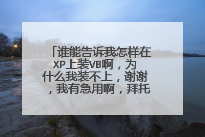 谁能告诉我怎样在XP上装VB啊,为什么我装不上,谢谢,我有急用啊,拜托,各位帮帮忙吧