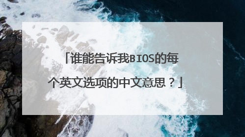 谁能告诉我BIOS的每个英文选项的中文意思?