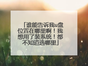 谁能告诉我u盘位置在哪里啊!我想用了装系统!都不知道选哪里