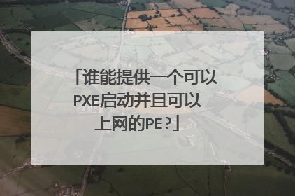 谁能提供一个可以PXE启动并且可以上网的PE?