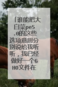 谁能把大白菜pe5.0的这些选项意思分别说给我听听，我已经做好一个GHO文件在我的磁盘里，我该选这