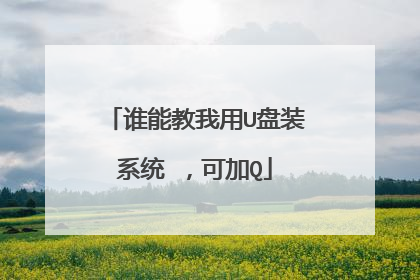 谁能教我用U盘装系统 ,可加Q