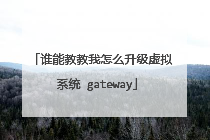 谁能教教我怎么升级虚拟系统 gateway