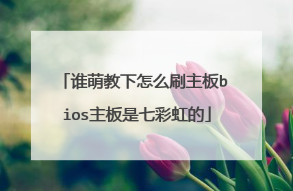 谁萌教下怎么刷主板bios主板是七彩虹的