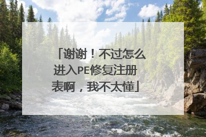 谢谢！不过怎么进入PE修复注册表啊，我不太懂