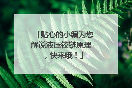 贴心的小编为您解说液压铰链原理,快来哦!