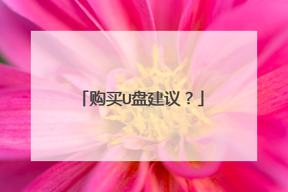 购买U盘建议?
